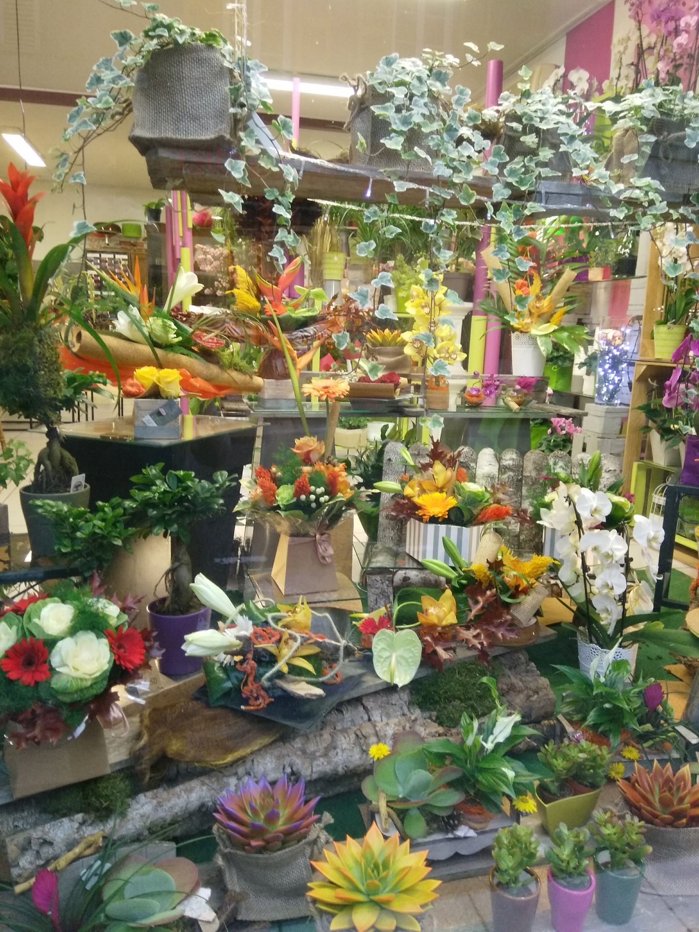galerie image
