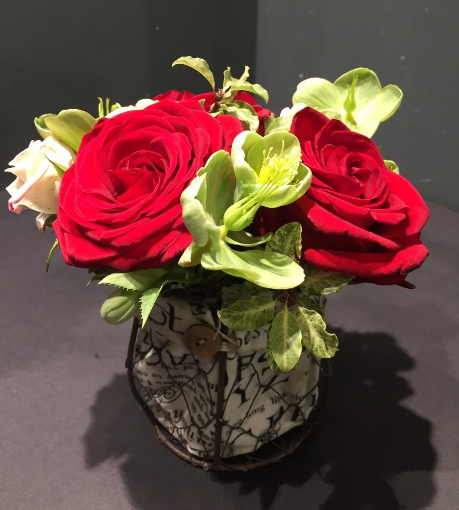 galerie image galerie image