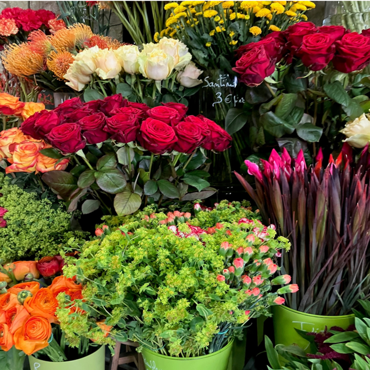 galerie image galerie image