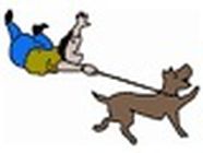 Espace Sos Canin service pour animaux