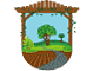 Allée Paysage paysagiste conseil