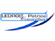 Ledroit Patrice Couverture Expert