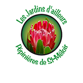Les Jardins D'Ailleurs paysagiste conseil