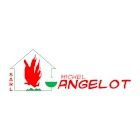 MICHEL ANGELOT Expert
