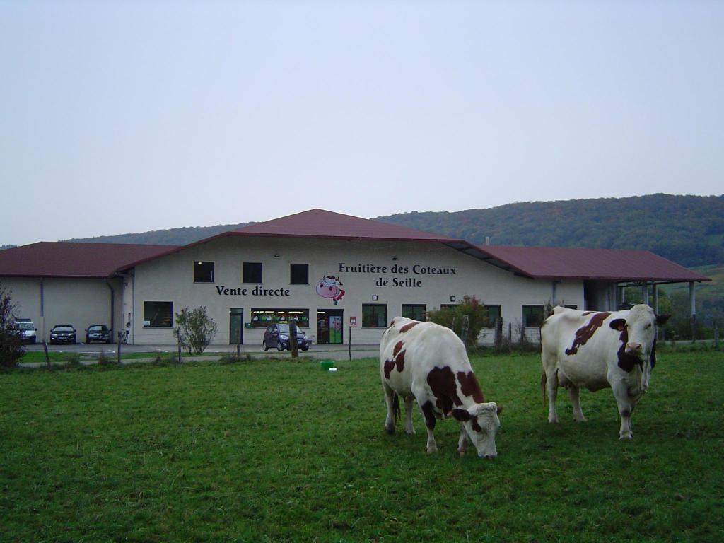 galerie image