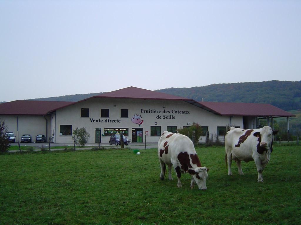 galerie image