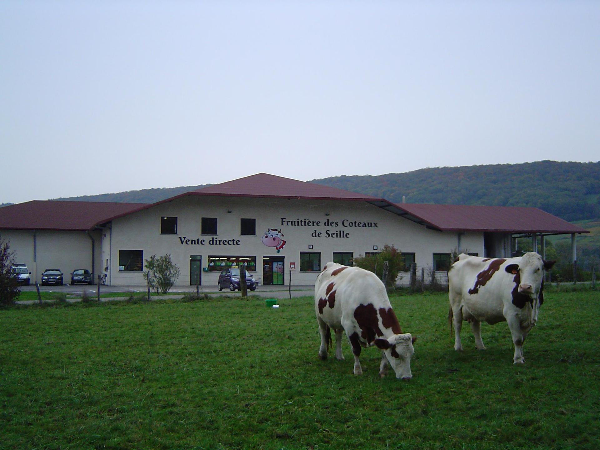 galerie image