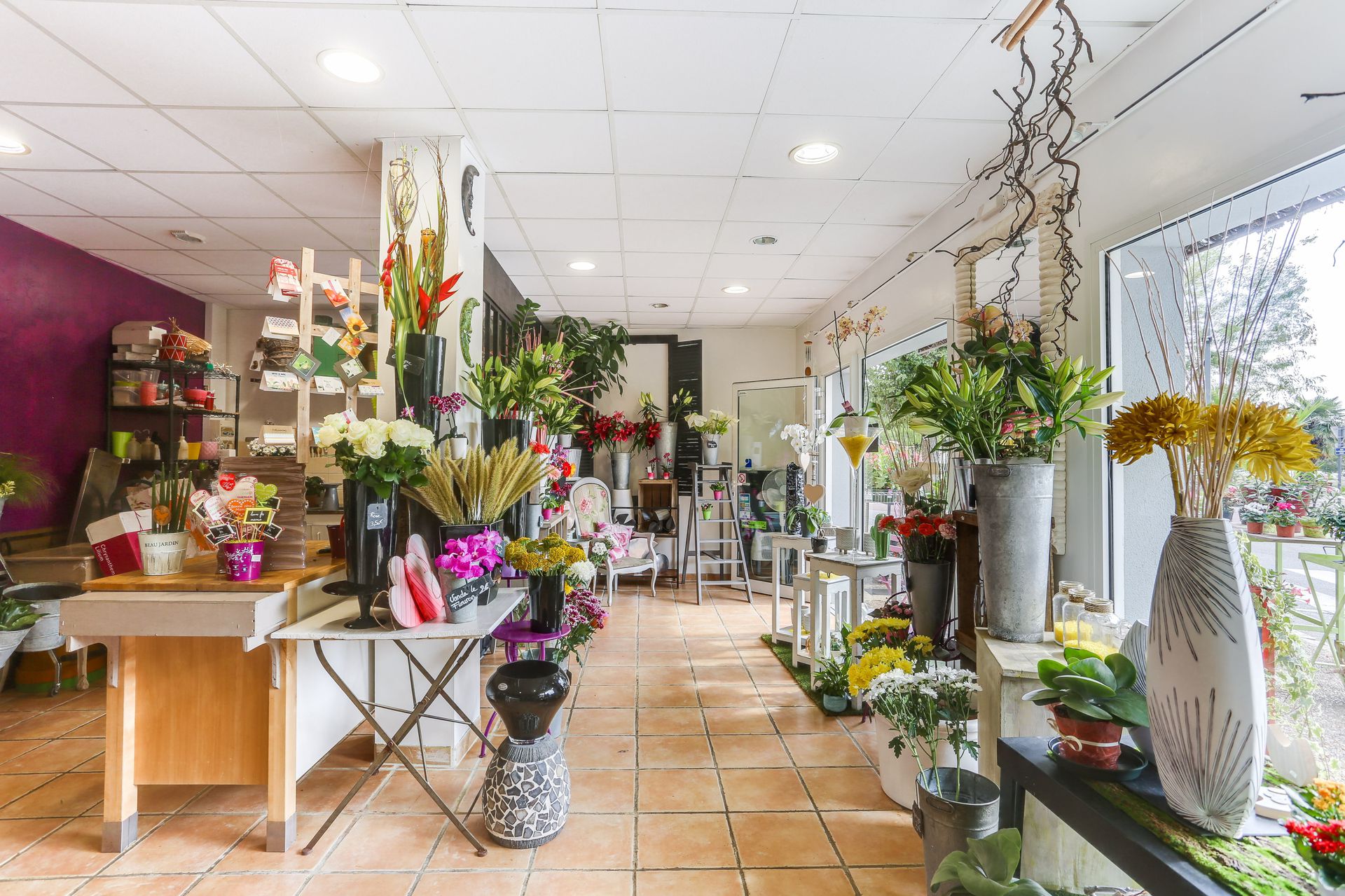 galerie image