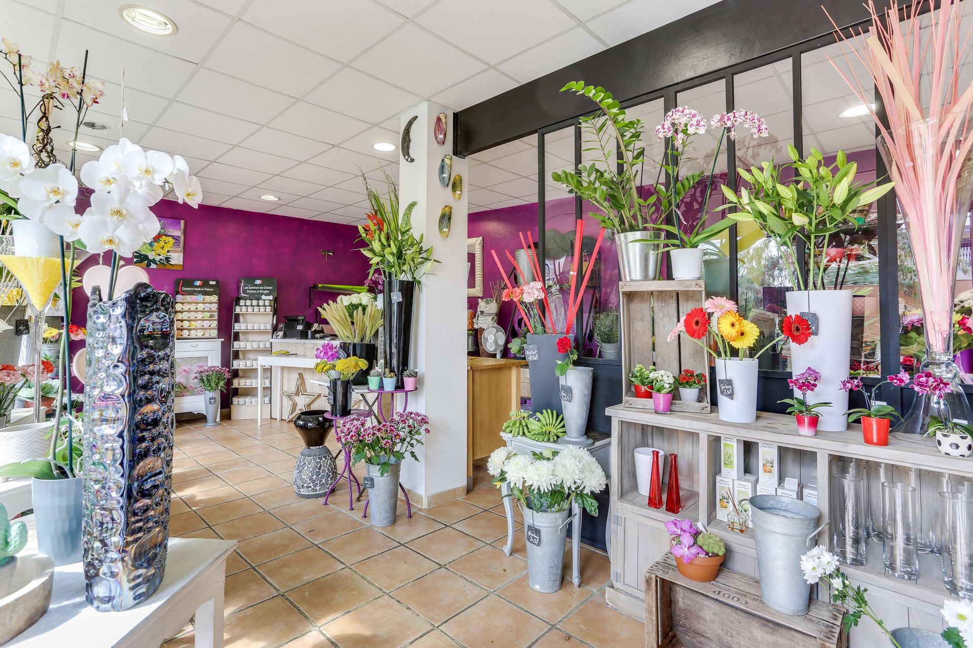 galerie image