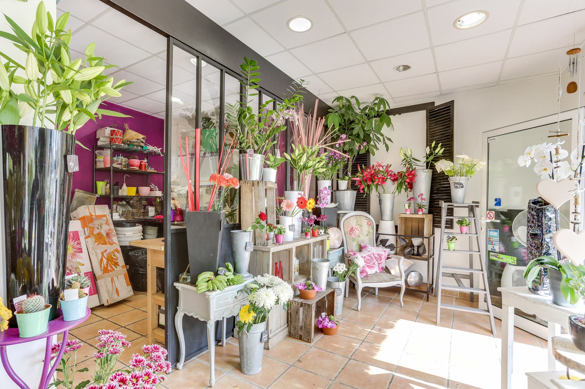 galerie image