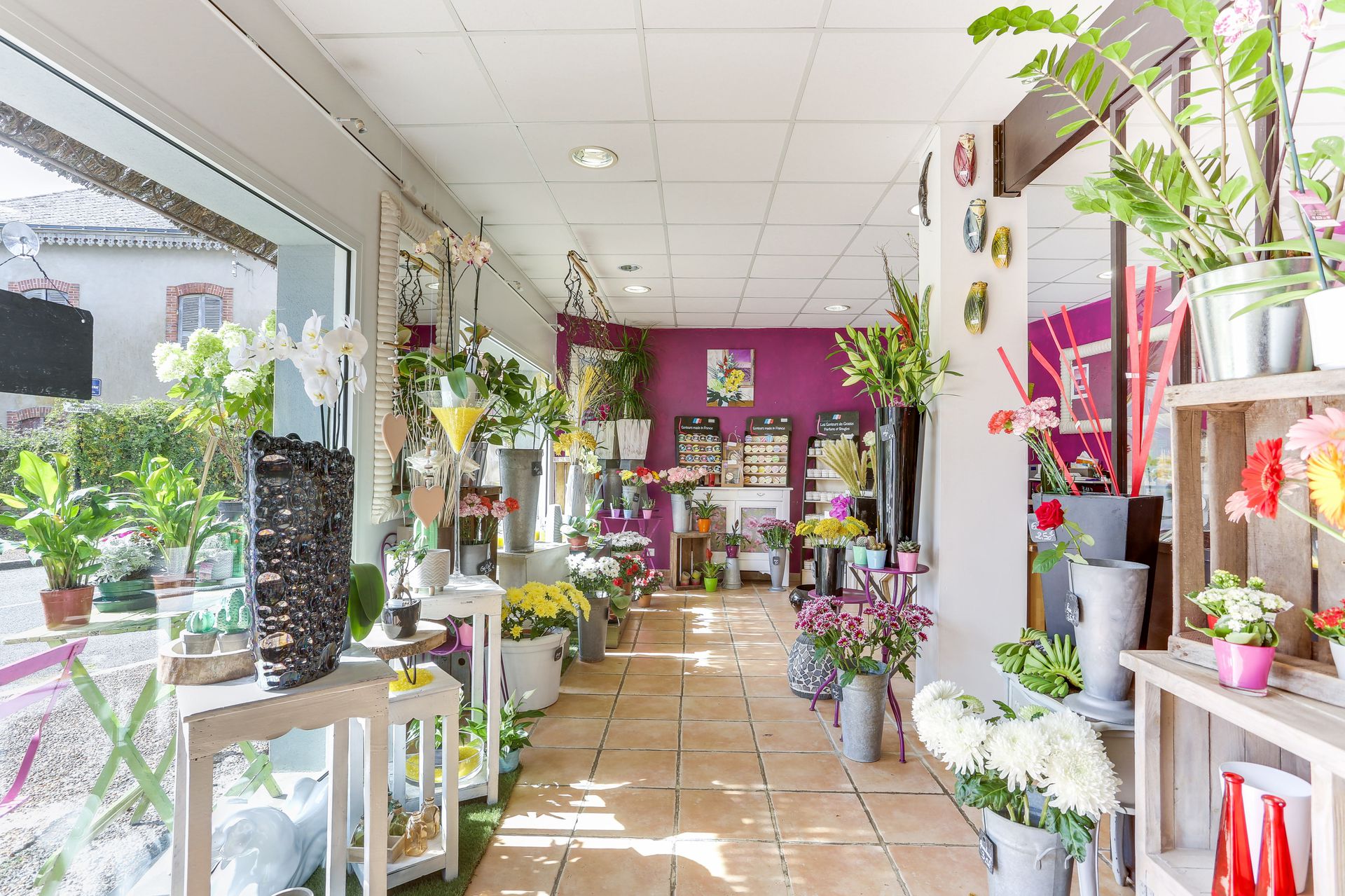 galerie image