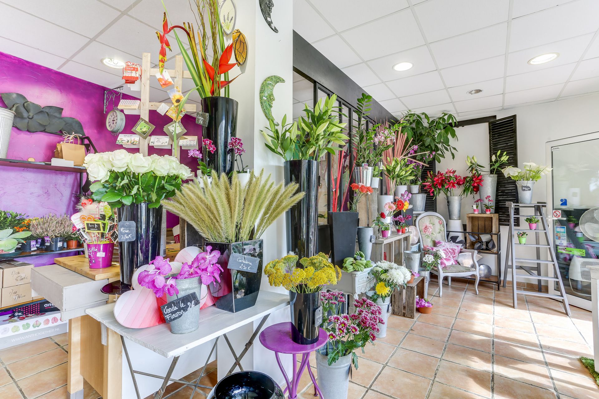 galerie image