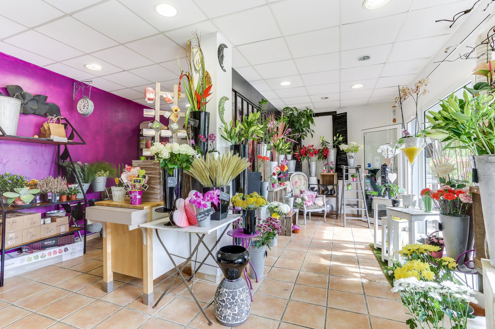 galerie image