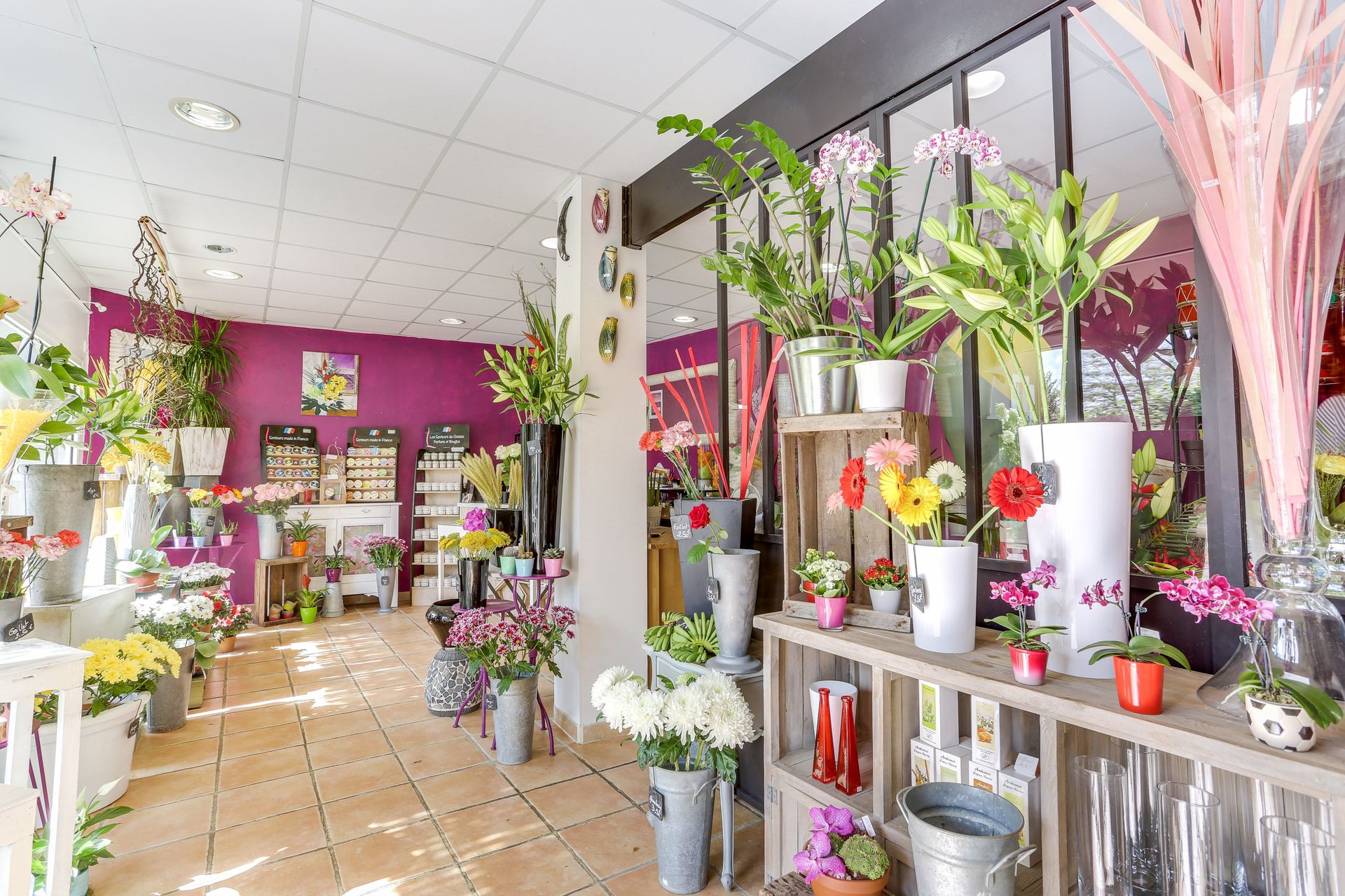 galerie image