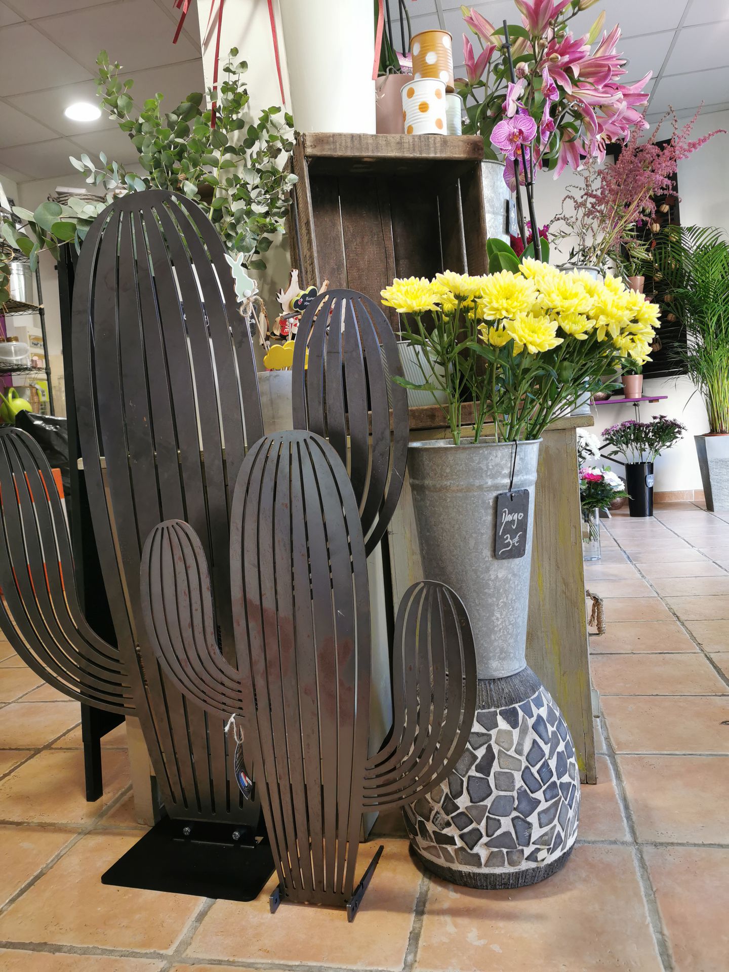 galerie image