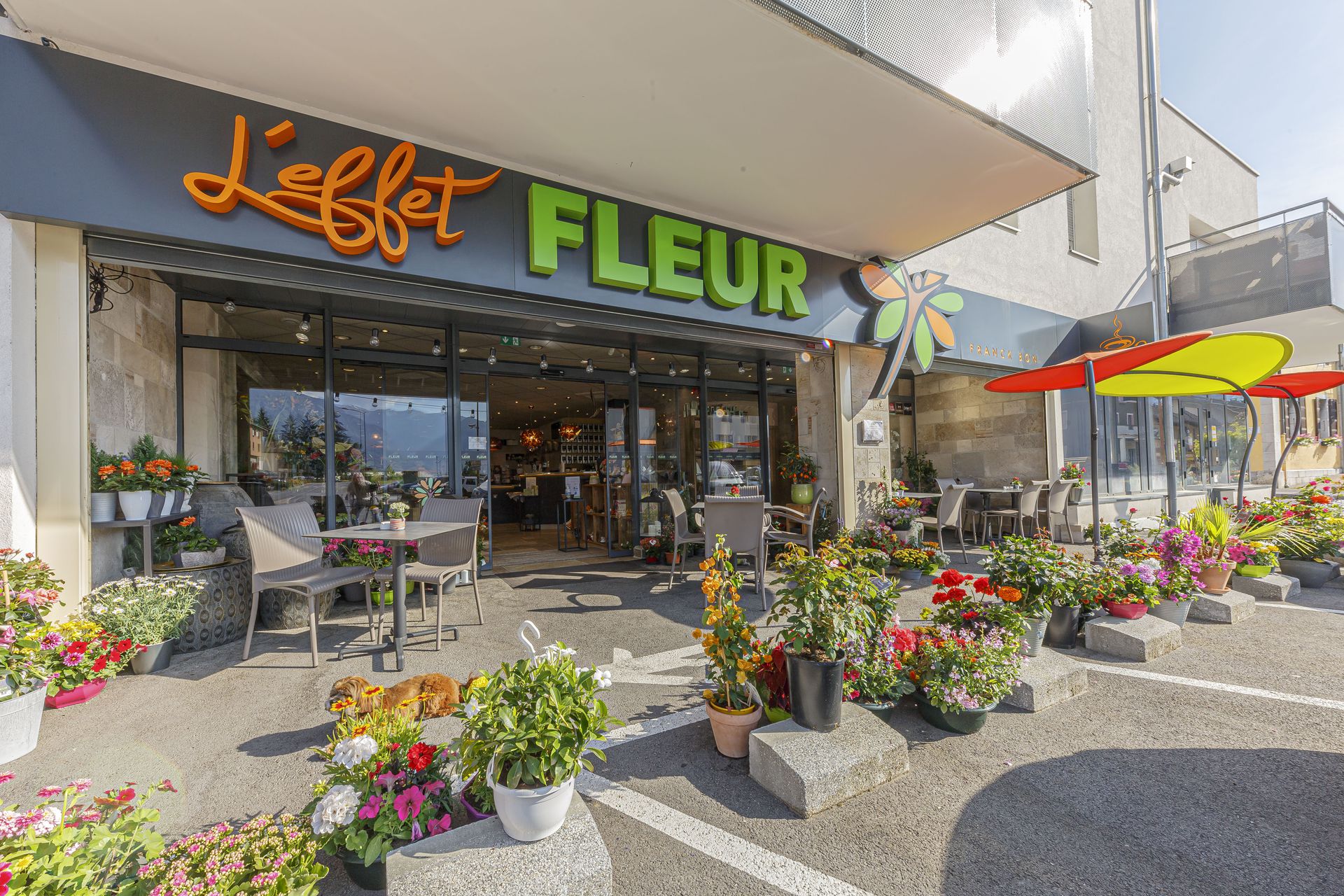 galerie image galerie image