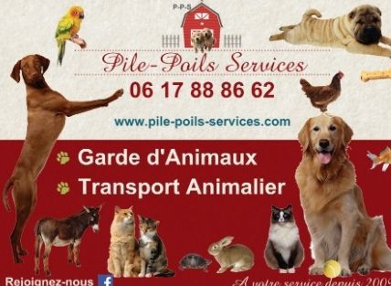 galerie image