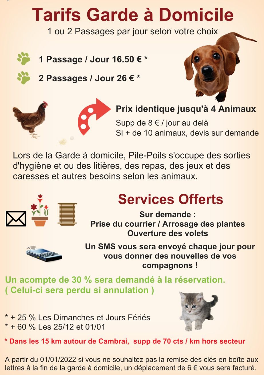 galerie image