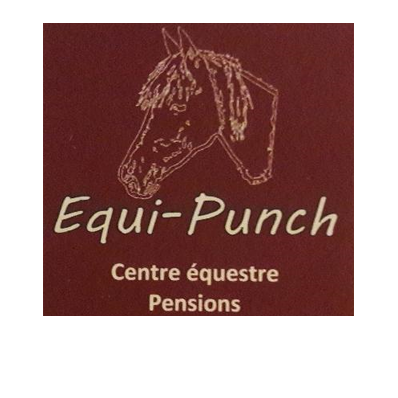 Equi Punch établissement d'éducation spécialisée