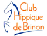 Club Hippique De Brinon Sur Sauldre établissement d'éducation spécialisée