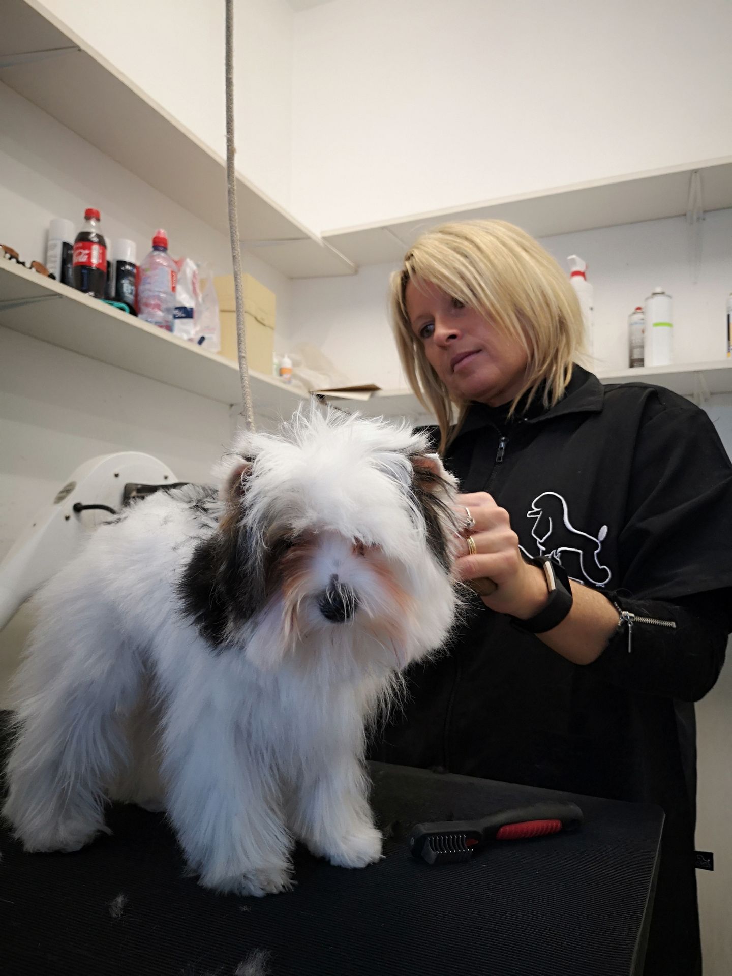 galerie image galerie image