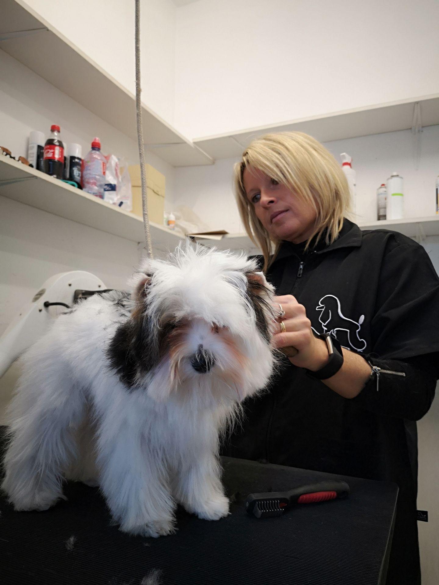 galerie image galerie image