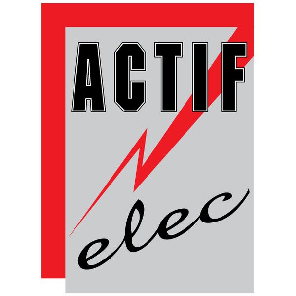 Actif Elec Martin Expert