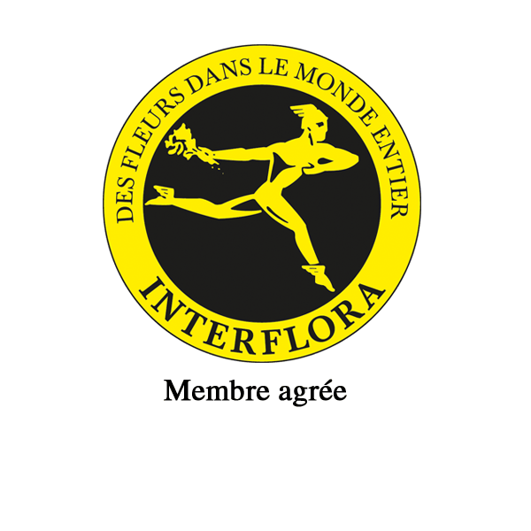 L' Orchidée dessinateur (divers)