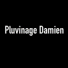 Pluvinage Damien artiste du spectacle