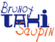 Brunoy Taxi Saupin taxi