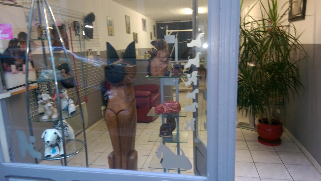 galerie image