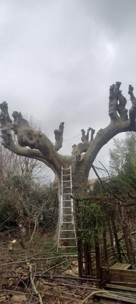 Espaces Verts travaux agricoles