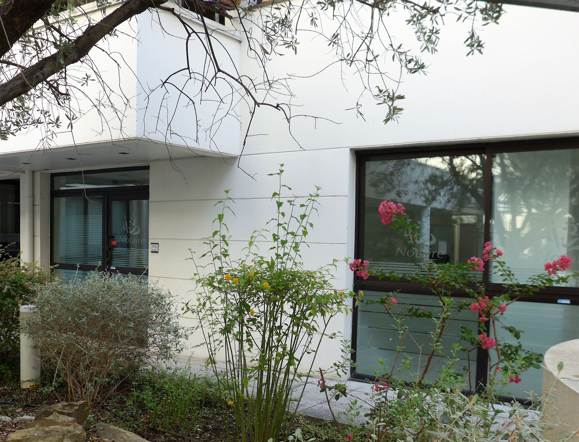 galerie image