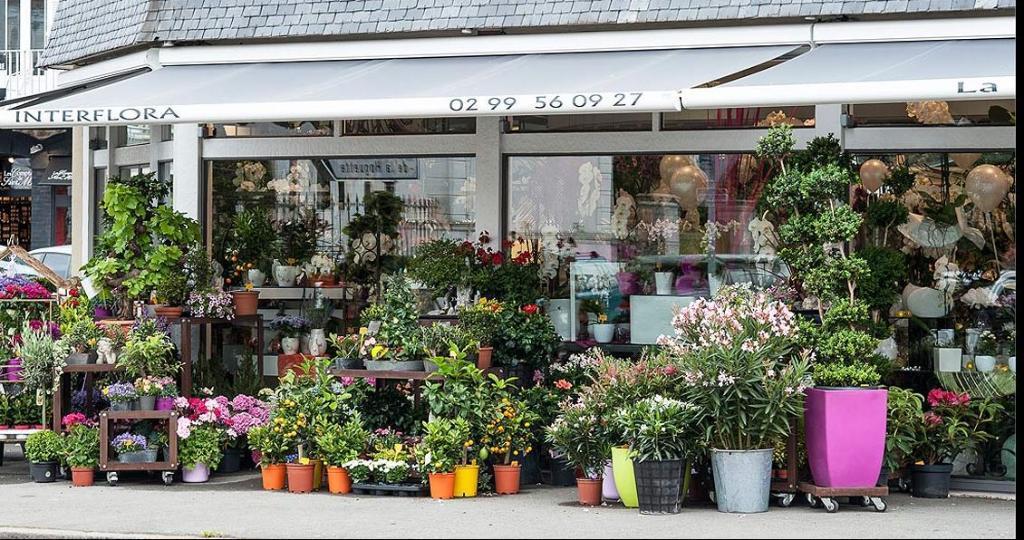 galerie image galerie image