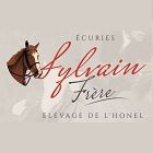 Ecuries Sylvain Frère centre équestre, équitation