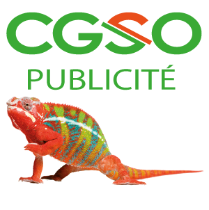 C.G.S.O Publicité SARL agence et conseil en publicité