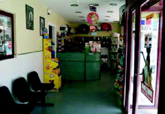 Galería en miniatura