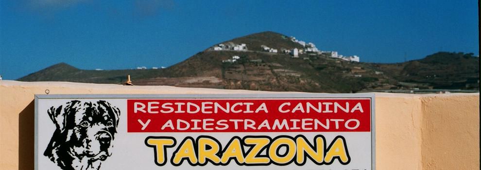 Residencia canina Tarazona Las Palmas de Gran Canaria