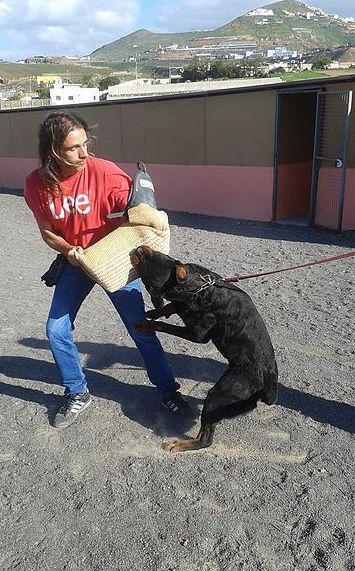 Foto de Residencia canina Tarazona