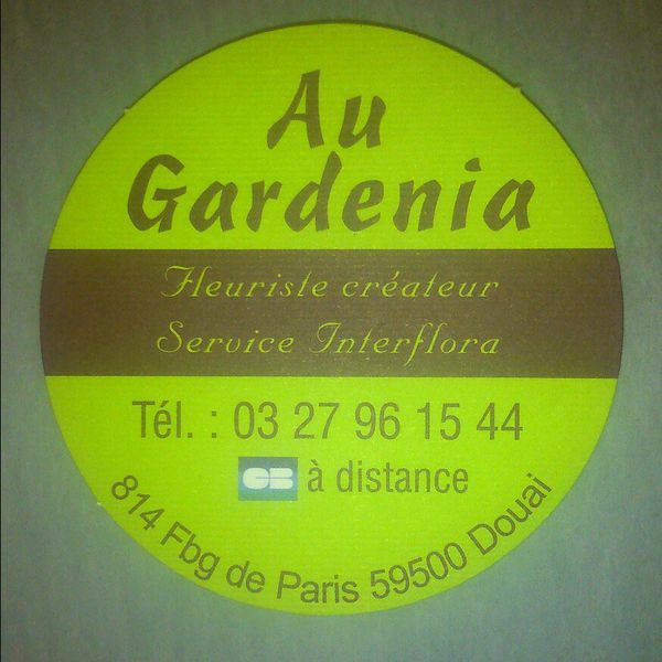 galerie image