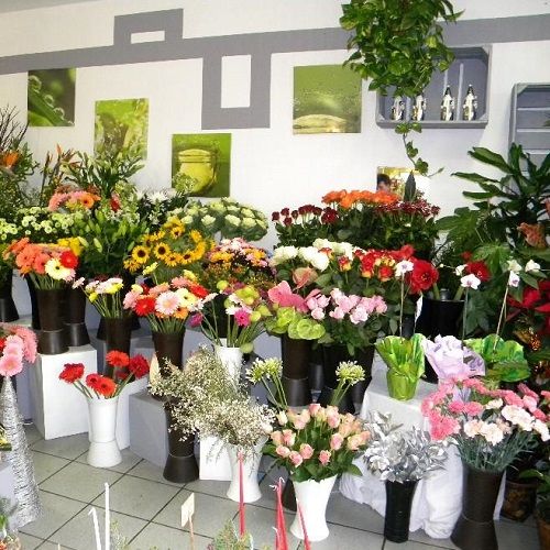 galerie image