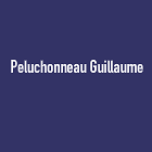 Guillaume Peluchonneau SAS Expert