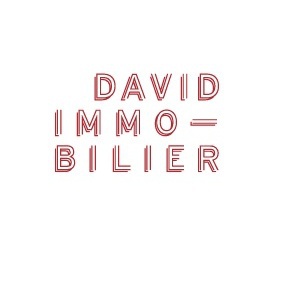 David Immobilier expert en immobilier