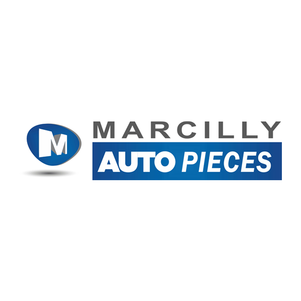 Auto Pièces SARL pièces et accessoires automobile, véhicule industriel (commerce)