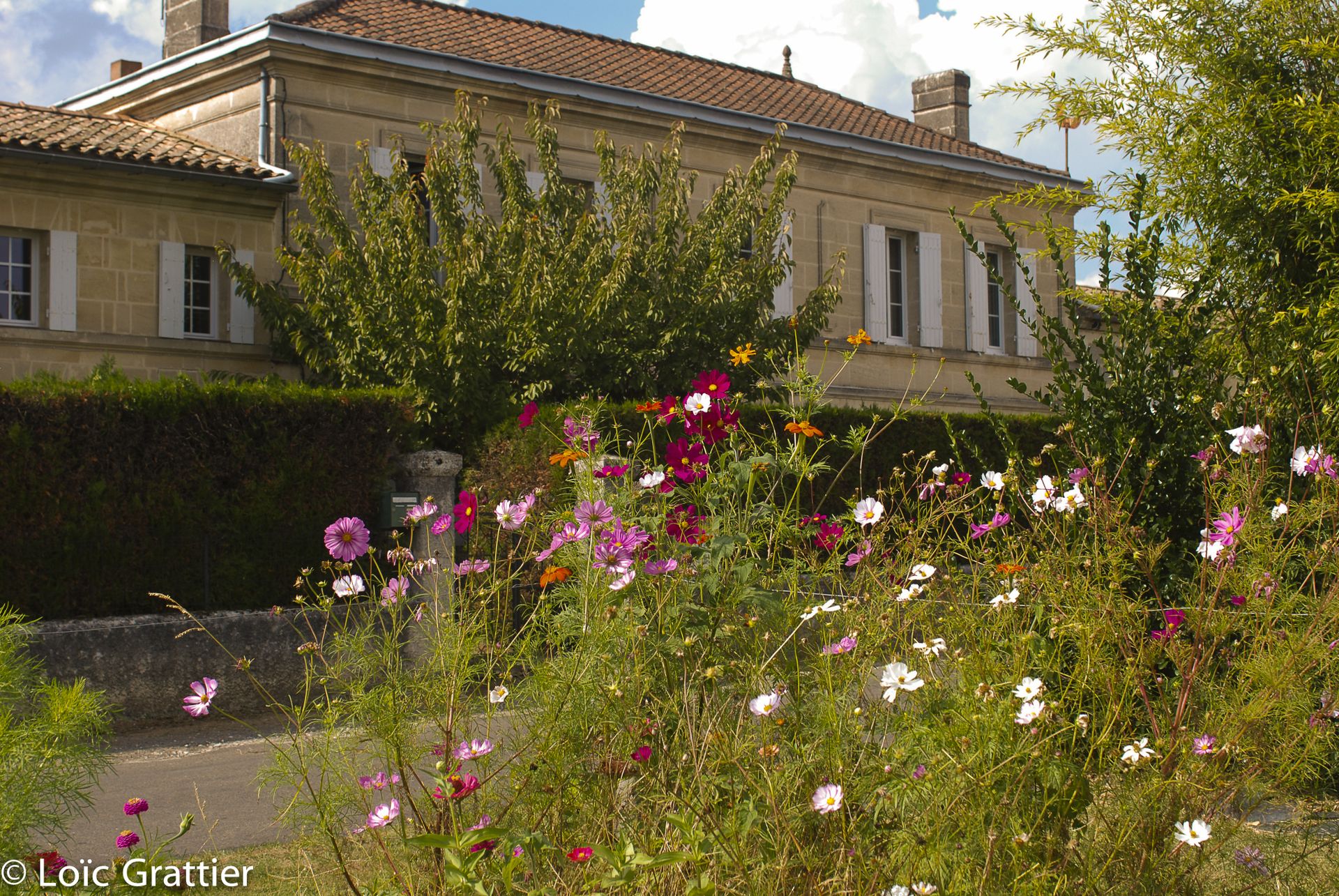 galerie image galerie image