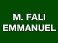 Fali Emmanuel - Spécialiste de la salle de bains peintre (artiste)