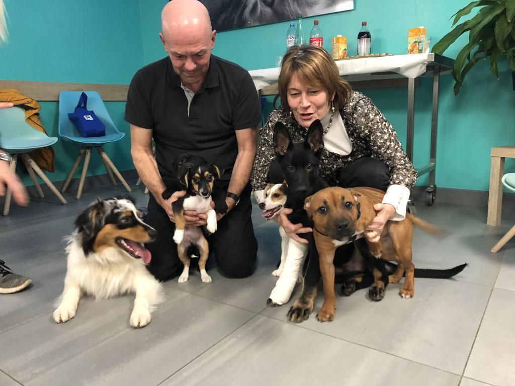 galerie image galerie image