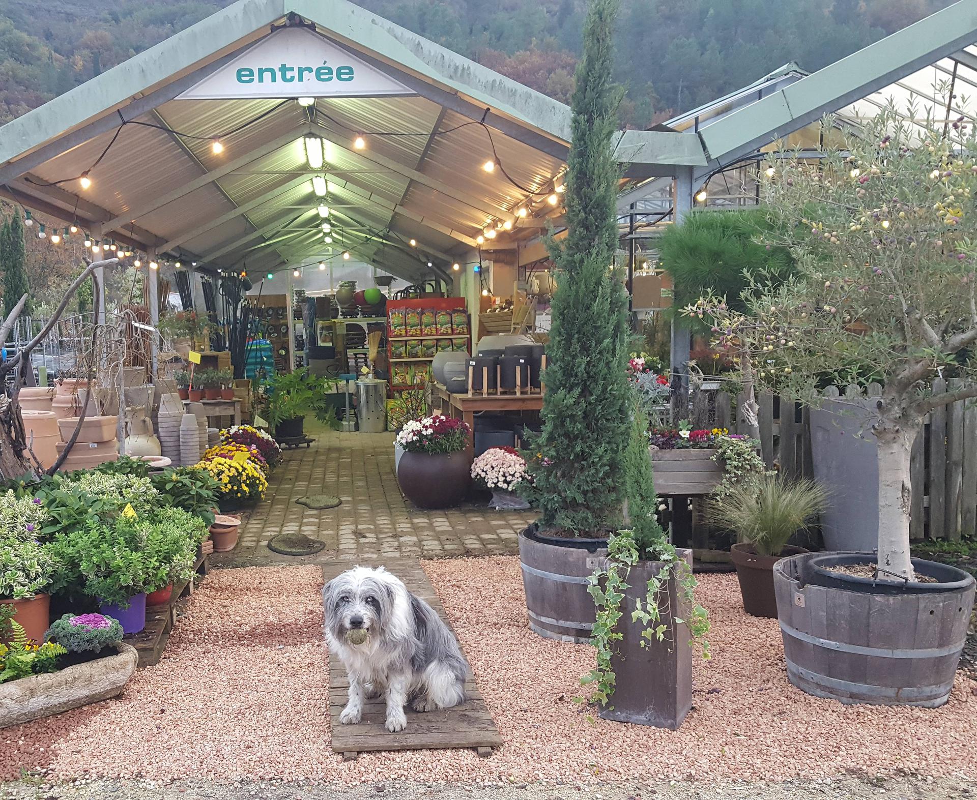 galerie image galerie image