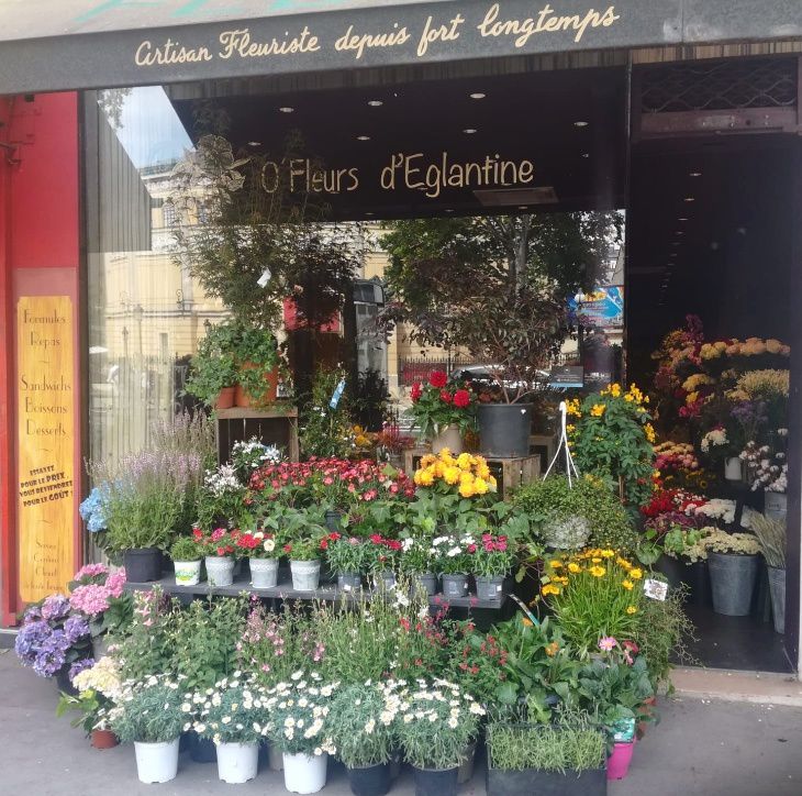galerie image galerie image
