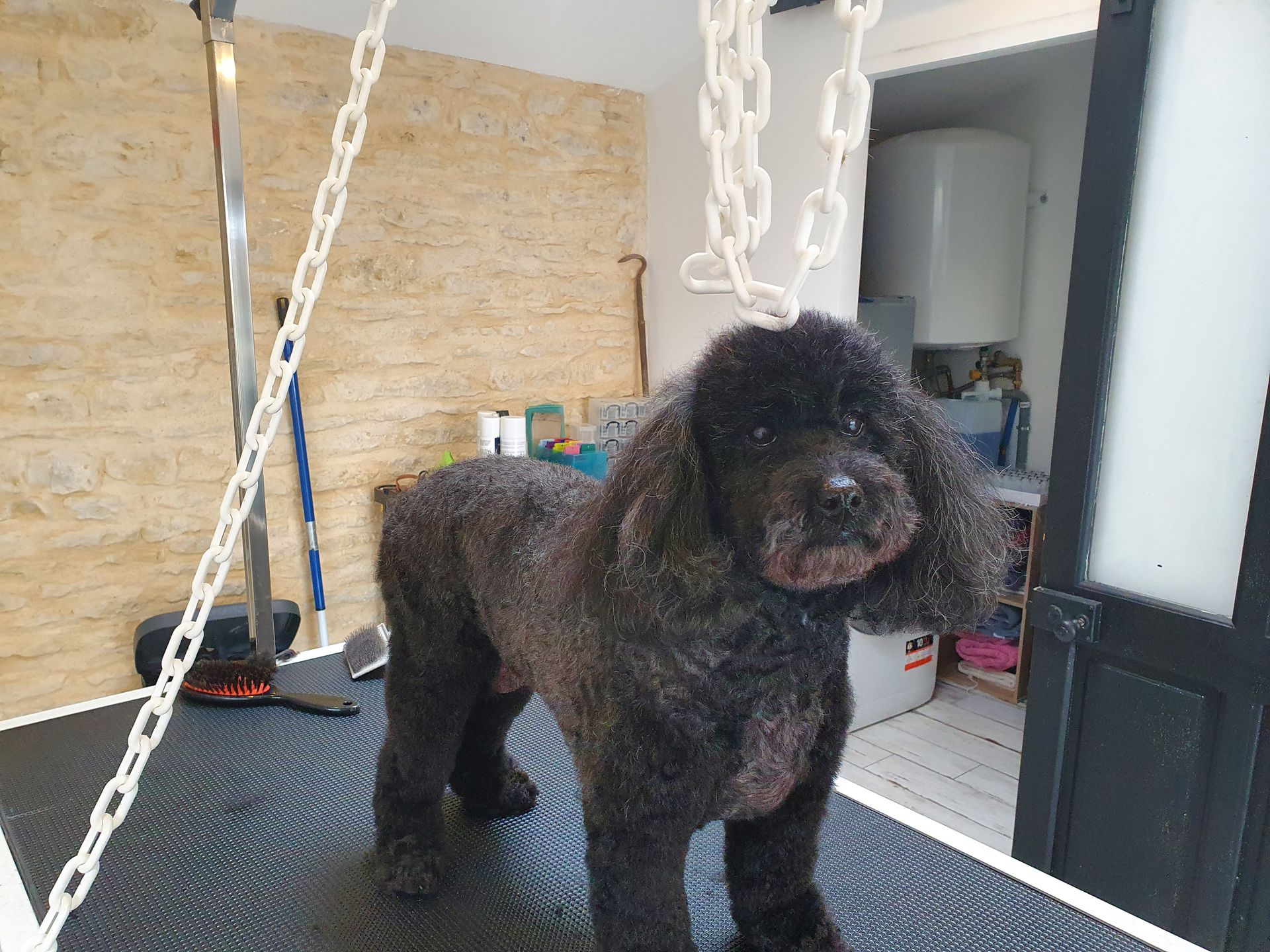 galerie image galerie image